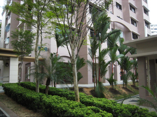 Blk 2C Boon Tiong Road (S)166002 #142902